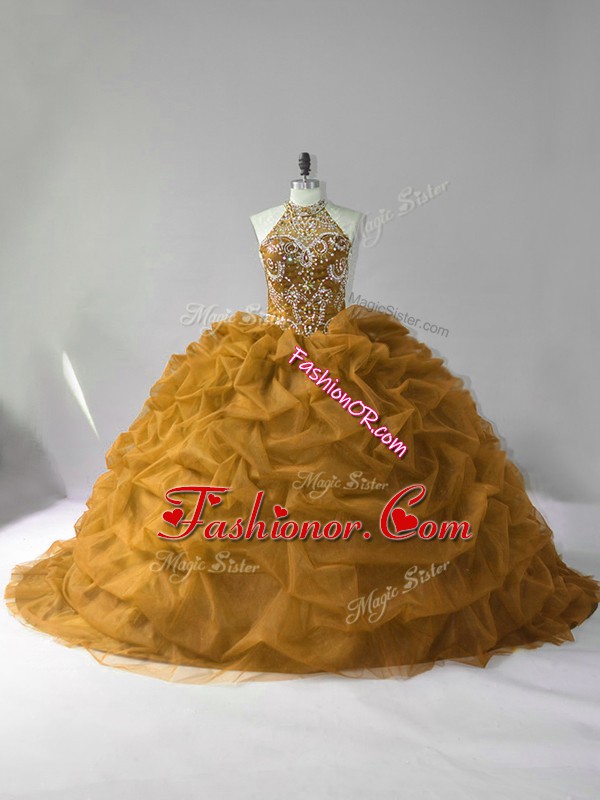 Dazzling Organza Sleeveless Quinceanera Dress and Beading