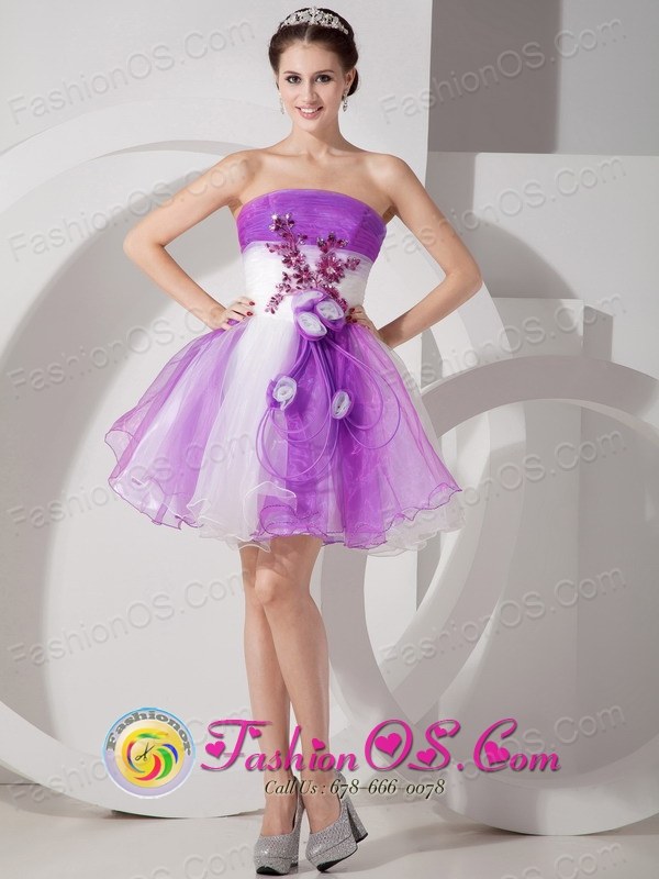White Prom Dresses Formal In Color Sy Purple And White A Line Mini Length Organza Prom Dress Hand Made Flowers Feature In Riberalta Bolivia Style Mlxnhy07for