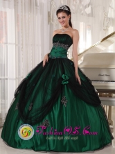 2013 Mendoza Argentina Green Quinceanera Dress With Strapless Tulle and Taffeta Beaded hand flower ball gown  Style PDZY518FOR