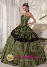 Customize Olive Green Taffeta Strapless Appliques beading 2013 RosarioArgentina Quinceanera Dresses Party Style Style PDZY517FOR