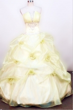 Lovely Ball gown Strapless Floor-length Organza Yellow Quinceanera Dresses Style FA-W-061