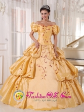 Off The Shoulder and Short Sleeves Yellow Quinceanera Dress With Embroidery and Pick-ups for 2013 San Juan  Argentina  Style PDZY538FOR 