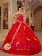  Customize Appliques Decorate Bodice Red Ball Gown Floor-length Sweetheart sweet sixteen Dress For Military Ball Style QDZY224FOR 