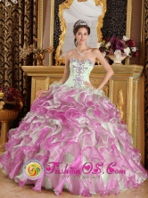 Ambato  Ecuador 2013 Sweet sixteen Dress Latest Fuchsia and Apple Green Organza With Appliques Sweetheart Ball Gown Style QDZY249FOR