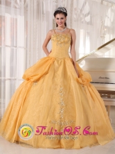 Colon Cuba 2013 Fall sweet sixteen Dress With Spaghetti Straps Gold Appliques Taffeta and Organza Ball Gown Style PDZY580FOR 