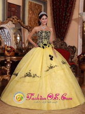 Colon Cuba Light Yellow Strapless For Beautiful 2013 Spring sweet sixteen Dress With Embroidery and Hand Made Flowers Style QDZY233FOR 