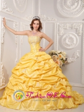 Cuenca  Ecuador Brand New Yellow 2013 sweet sixteen  Dress Strapless Court Train Taffeta Appliques and Beading Style QDZY008FOR