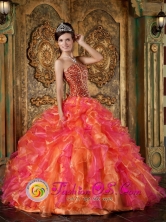 Machala  Ecuador Multi-Color Sweet sixteen Dress For Winter Beading and Ruffles Decorate Bodice Strapless The Brand New Style Organza Ball Gown Style QDZY251FOR