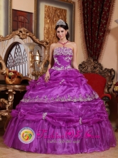 Trinidad Cuba Fashionable Fuchsia Quinceanera Dress For 2013 Strapless Organza With Appliques And Ruffles Ball Gown for Sweet Sixteen Style QDZY559FOR