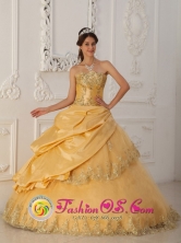  2013 Gold Quinceanera Dress Lace Floor-length Taffeta and Tulle Ball Gown in Jujutla  El Salvador  Style QDZY187FOR 