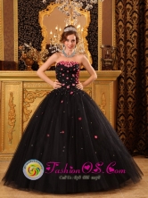 Popular Black Quinceanera Dress For 2013 Tiny Flowers Decorate Strapless Tulle Ball Gown IN Ciudad Delgado  El Salvador Style QDZY165FOR