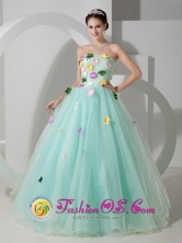 2013 Huehuetenango Guatemala Apple Green Organza A-line Quincenera Dress With Colored Hand Made Flowers Style MLXNHY03FOR 