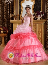 2013 Solola Guatemala Customer Made One Shoulder Romantic Quinceanera Dress Appliques with Beading Organza Ball Gown Style QDZY345FOR
