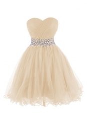  Empire Prom Dresses Champagne Sweetheart Organza Sleeveless Mini Length Lace Up