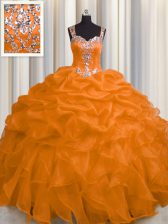Spectacular See Through Zipper Up Orange Organza Zipper Sweet 16 Quinceanera Dress Sleeveless Floor Length Appliques and Ruffles