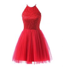  A-line Prom Dresses Coral Red Scoop Tulle Sleeveless Knee Length Zipper