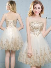 Decent Scoop Tulle Sleeveless Mini Length Dama Dress and Appliques