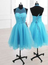  Baby Blue Sleeveless Organza Lace Up Prom Dresses for Prom and Party