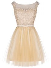 Artistic Sleeveless Tulle Mini Length Zipper in Champagne with Lace