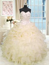  Sweetheart Sleeveless Lace Up Sweet 16 Quinceanera Dress Champagne Organza