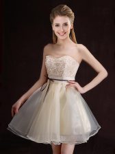  Champagne Quinceanera Dama Dress Prom and Party and Wedding Party with Appliques and Belt Sweetheart Sleeveless Lace Up
