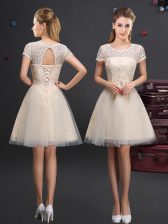 Low Price A-line Dama Dress Champagne Scoop Tulle Short Sleeves Mini Length Lace Up