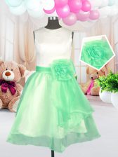 Popular Apple Green Little Girls Pageant Dress Wholesale Military Ball and Sweet 16 and Quinceanera with Hand Made Flower Scoop Sleeveless Zipper