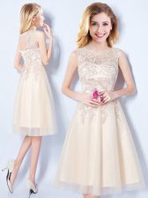Attractive Champagne Lace Up Scoop Appliques Dama Dress for Quinceanera Tulle Sleeveless