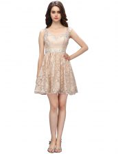 Traditional Champagne Side Zipper Sweetheart Lace Prom Evening Gown Lace Sleeveless