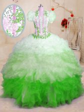 Luxury Multi-color Organza Lace Up Sweetheart Sleeveless With Train Quinceanera Gown Brush Train Beading and Appliques and Ruffles