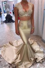 Suitable Mermaid Champagne Prom Party Dress Prom with Appliques V-neck Sleeveless Court Train Zipper