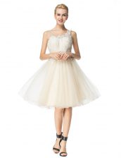 Customized Champagne A-line Organza Scoop Sleeveless Beading Knee Length Zipper Prom Evening Gown