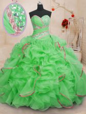 Decent With Train Ball Gowns Sleeveless 15 Quinceanera Dress Brush Train Lace Up