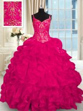 Sexy Organza Sleeveless Sweet 16 Quinceanera Dress Brush Train and Beading and Embroidery and Ruffles