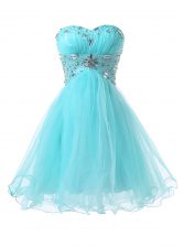 Artistic Blue Sleeveless Organza Lace Up Prom Dress for Prom