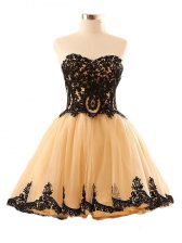 Champagne A-line Appliques Prom Gown Lace Up Tulle Sleeveless Mini Length