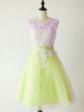 Delicate Yellow Green Lace Up Scoop Lace Quinceanera Court of Honor Dress Tulle Sleeveless