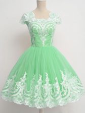 Beauteous Tulle Square Cap Sleeves Zipper Lace Damas Dress in Apple Green