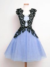  Light Blue Tulle Lace Up Damas Dress Sleeveless Knee Length Lace