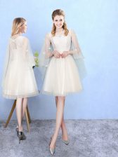 Dazzling Square Half Sleeves Lace Up Dama Dress Champagne Tulle