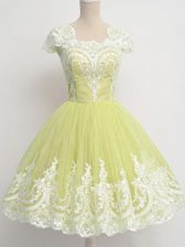 Super Yellow Green Cap Sleeves Lace Knee Length Court Dresses for Sweet 16