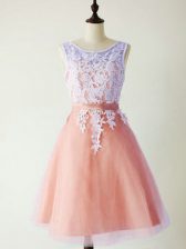 Smart Peach A-line Scoop Sleeveless Tulle Knee Length Lace Up Lace Quinceanera Court of Honor Dress