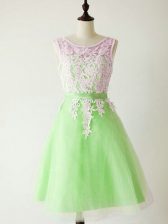  A-line Lace Quinceanera Dama Dress Lace Up Tulle Sleeveless Knee Length