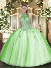 Super Ball Gowns Quinceanera Dresses Halter Top Tulle Sleeveless Floor Length Lace Up