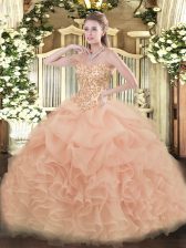  Organza Sleeveless Floor Length Ball Gown Prom Dress and Appliques and Ruffles and Pick Ups