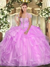 Glorious Organza Sleeveless Floor Length Sweet 16 Dress and Appliques and Ruffles