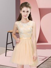 Clearance Champagne Scoop Side Zipper Lace Dama Dress for Quinceanera Sleeveless