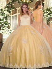 Modern Gold Sleeveless Floor Length Lace and Appliques Clasp Handle Quinceanera Gowns