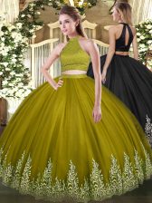 Fantastic Floor Length Ball Gowns Sleeveless Olive Green Quinceanera Gowns Backless