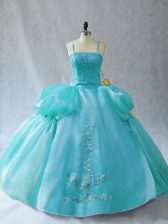  Organza Sleeveless Floor Length Quinceanera Dress and Appliques